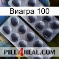 Виагра 100 31